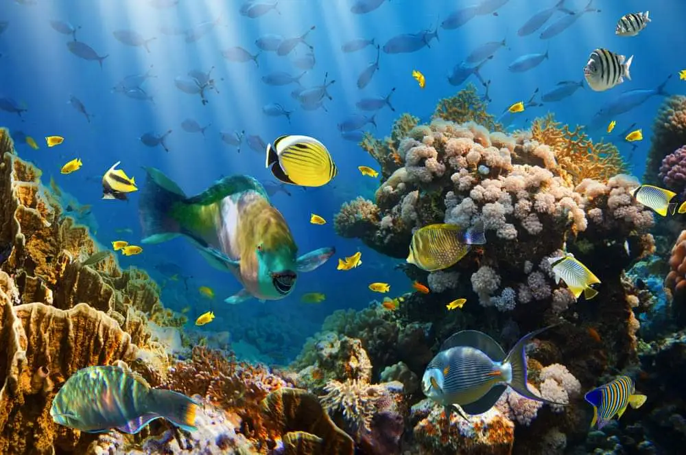Boottour & Snorkel